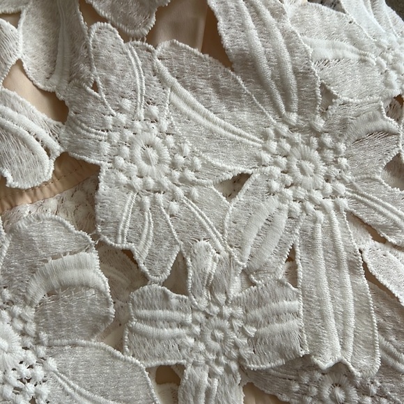 Dolce Vita Lace Top Size S - Picture 8 of 10